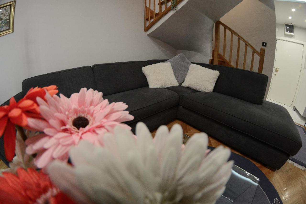Apartment Dobraya Blue Novi Sad Bagian luar foto